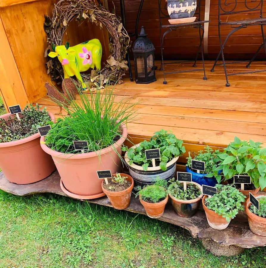 Irenes Tinyhouse Villa Markt Nordheim Germany